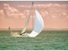 Billede 24