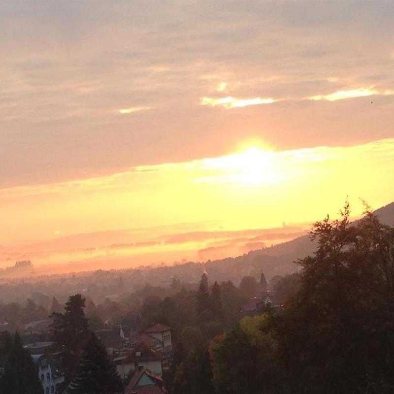 Bungalow - 4 personer -  - Am Eichenberg - 38889 - Blankenburg (Harz)