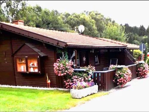 Holiday home - 4 persons -  - Eppenschlag - 94536