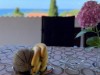 Billede 5