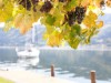 Bild 16