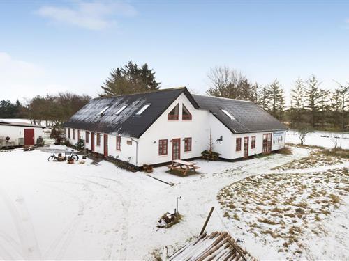 Sommerhus - 12 personer -  - Sønder Klintvej - Nymindegab - 6830 - Nr. Nebel