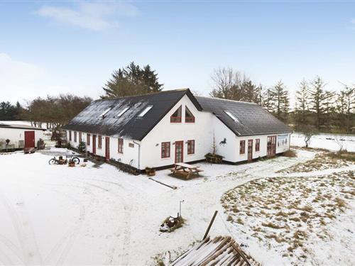 Ferienhaus - 12 Personen -  - Sønder Klintvej - Nymindegab - 6830 - Nr. Nebel