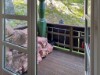 Image 7 - Outside