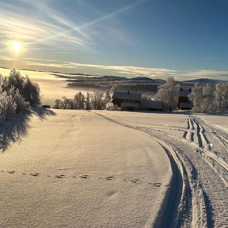 Ferielejlighed - 8 personer -  - Hovden - Rauland/Møsstrond - 3864 - Rauland