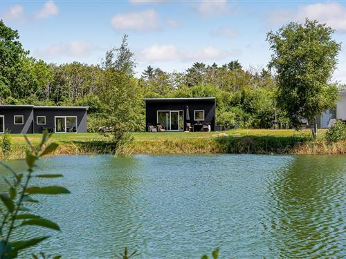 Sommerhus - 4 personer -  - Dyrefolden - Hee - 6950 - Ringkøbing