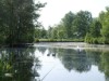 Bild 21