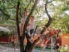 Bild 17