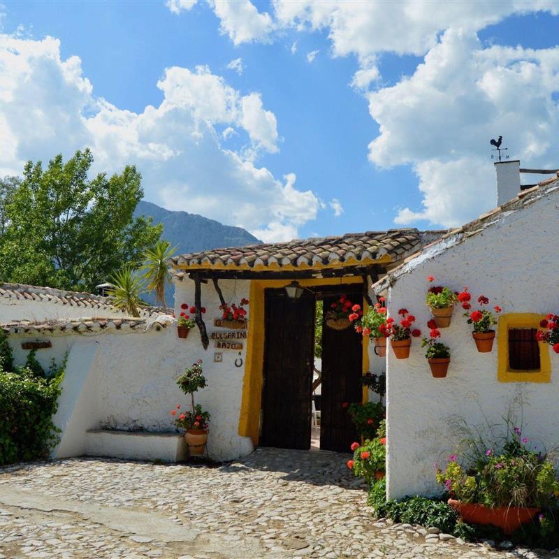 Sommerhus - 10 personer -  - Málaga / Alfarnatejo - 29194