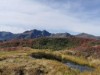 Billede 21