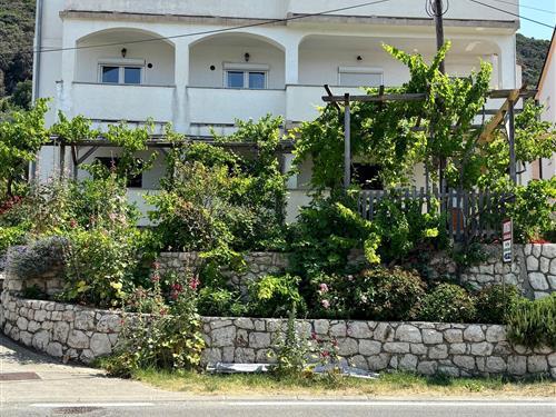 Ferielejlighed - 4 personer -  - Supetarska Draga - 51280 - Supetarska Draga