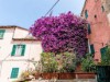 Image 15 - Outside