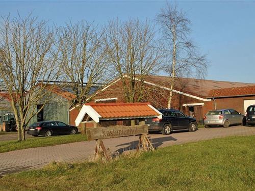 Bondehus - 5 personer -  - 26556 - Westerholt