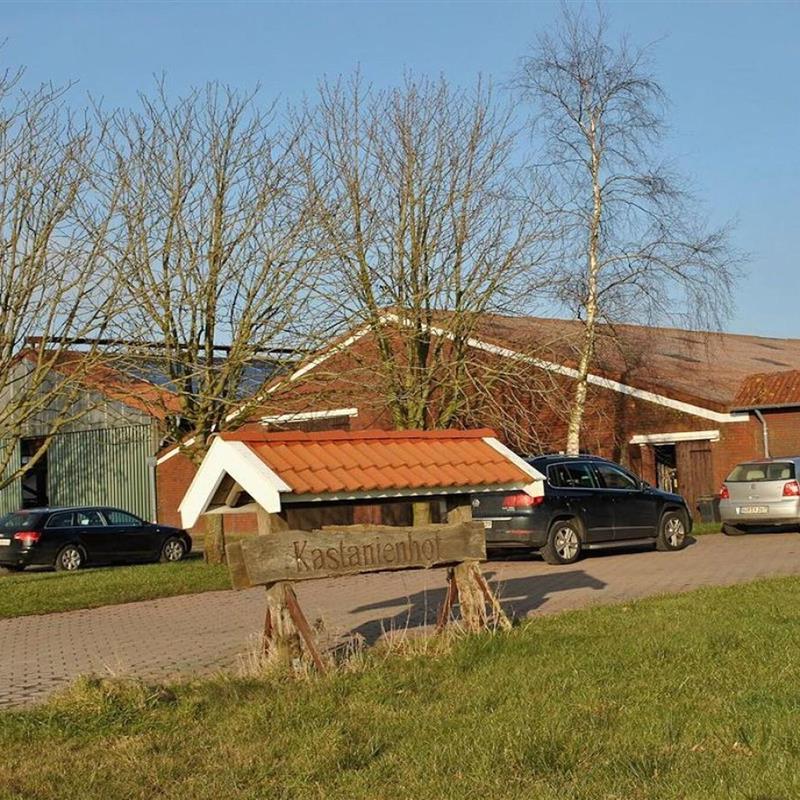 Bondehus - 5 personer -  - 26556 - Westerholt