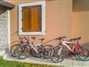 Billede 11
