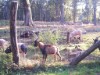 Bild 29 - Aussen