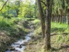 Bild 14