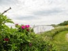 Billede 28 - Udsigt over vand