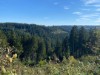 Bilde 12
