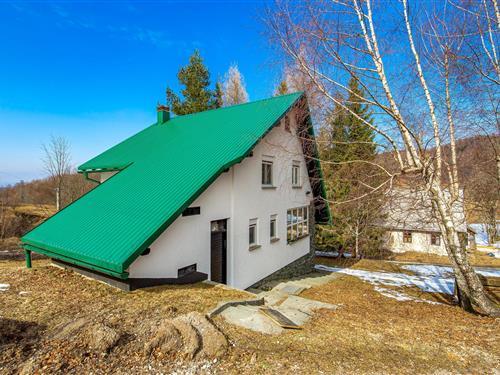 Sommerhus - 6 personer -  - Begovo Razdolje - Gorski Kotar-Begovo Razdolje - 51315 - Begovo Razdolje