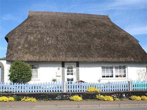 Ferielejlighed - 4 personer -  - Dorfstrasse - 18581 - Putbus / Kasnevitz