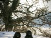 Bild 18