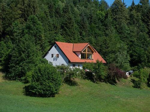 Holiday home - 9 persons -  - Zaplana - 1360 - Vrhnika