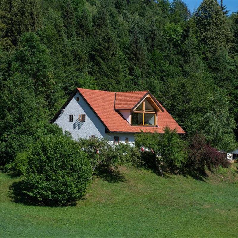 Sommerhus - 9 personer -  - Zaplana - 1360 - Vrhnika