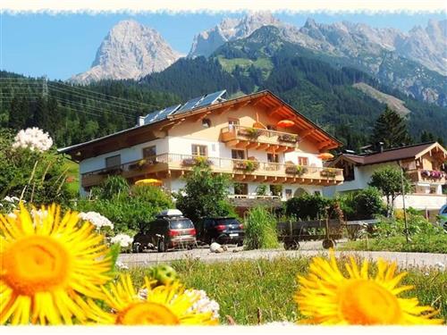 Ferielejlighed - 3 personer -  - Untere Sonnleiten - 5761 - Maria Alm Am Steinernen M