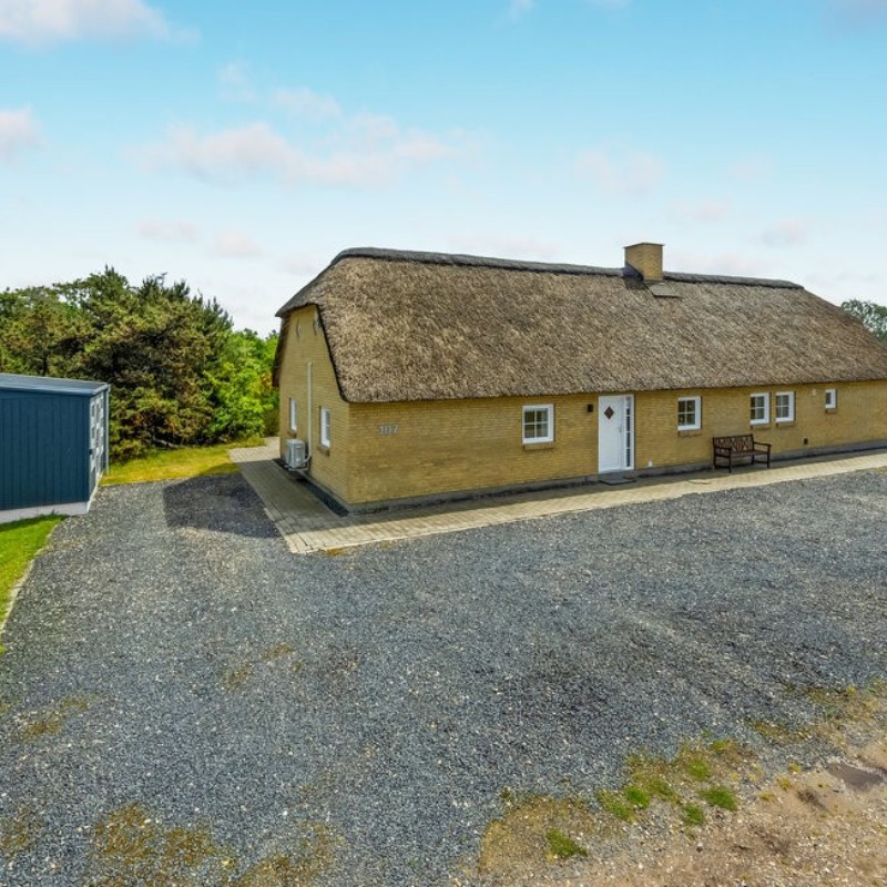 Sommerhus - 12 personer -  - Syrenvej - Stauning - 6900 - Skjern