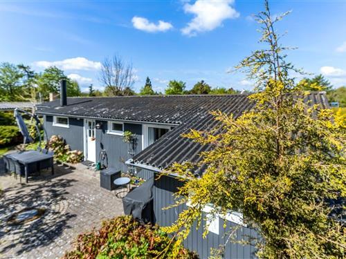 Sommerhus - 4 personer -  - Fyrrestien - 4654 - Fakse Ladeplads
