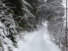 Bild 38 - Ude