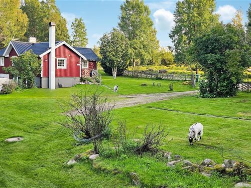 Holiday Home/Apartment - 8 persons -  - Kartryd - Borås/Ulricehamn - 523 99 - Hökerum