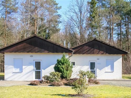 Feriehus / leilighet - 4 personer -  - Oberohe - Faßberg - 29328 - Faßberg/Heidesee