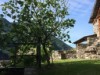 Image 2 - Outside