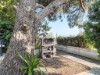 Image 27 - Outside