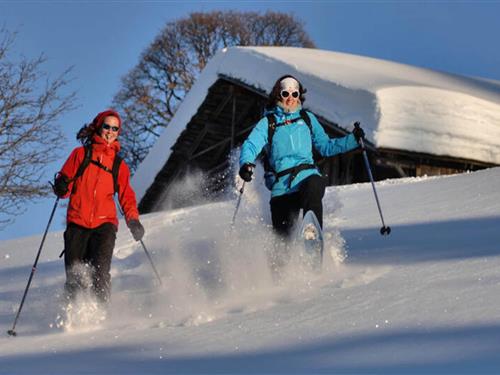 Ferielejlighed - 4 personer -  - 73590 - Notre Dame De Bellecombe