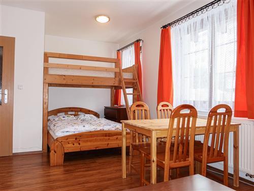 Holiday Home/Apartment - 4 persons -  - Rokytnice Nad Jizerou - 512 45