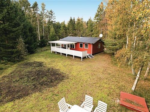 Sommerhus - 6 personer -  - Strandbyskoven - Dueodde - 3730 - Nexø