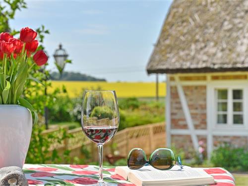 Ferieleilighet - 2 personer -  - Vilmnitzer Dorfstraße - 18581 - Vilmnitz