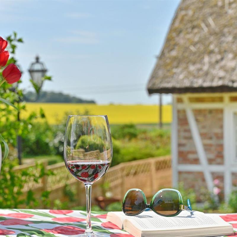 Ferielejlighed - 2 personer -  - Vilmnitzer Dorfstraße - 18581 - Vilmnitz