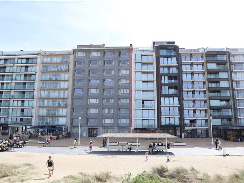 Semesterhus/Semesterlägenhet - 2 personer -  - 8620 - Nieuwpoort