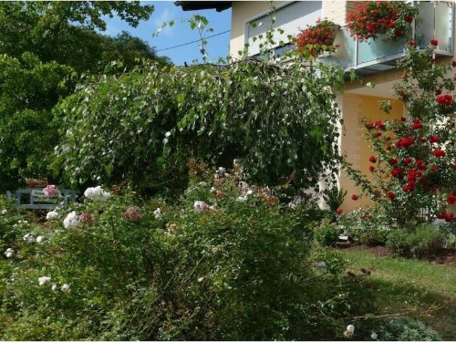 Feriehus - 2 personer -  - 66606 - St. Wendel-Winterbach