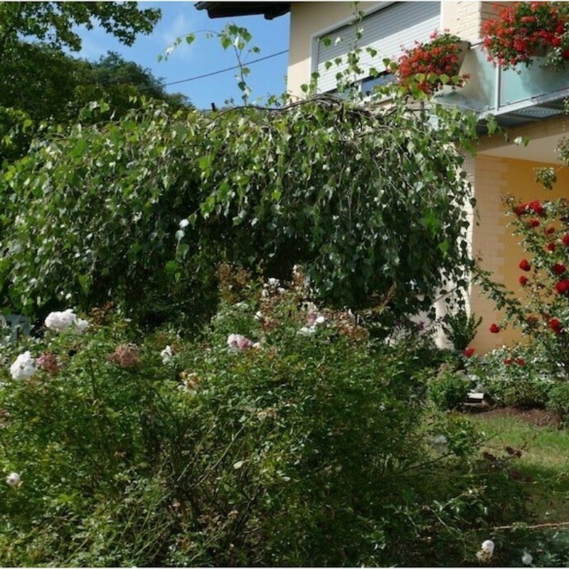 Sommerhus - 2 personer -  - 66606 - St. Wendel-Winterbach