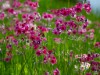 Bild 69 - Aussen