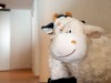 Bild 17 - Innen