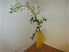 Bild 20