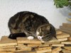 Bild 22