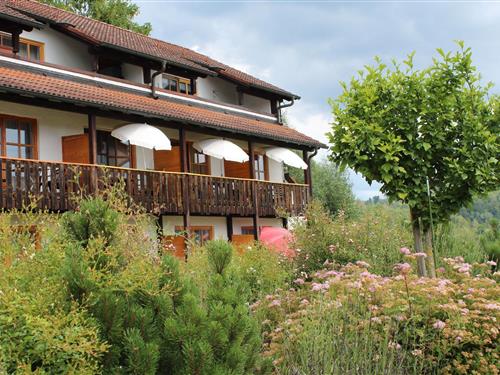 Ferielejlighed - 2 personer -  - Matzenberger Straße - 94130 - Obernzell