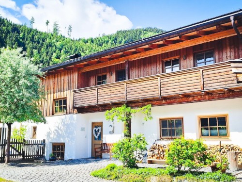 Ferieleilighet - 3 personer -  - Hollersbach - 5731 - Hollersbach Im Pinzgau